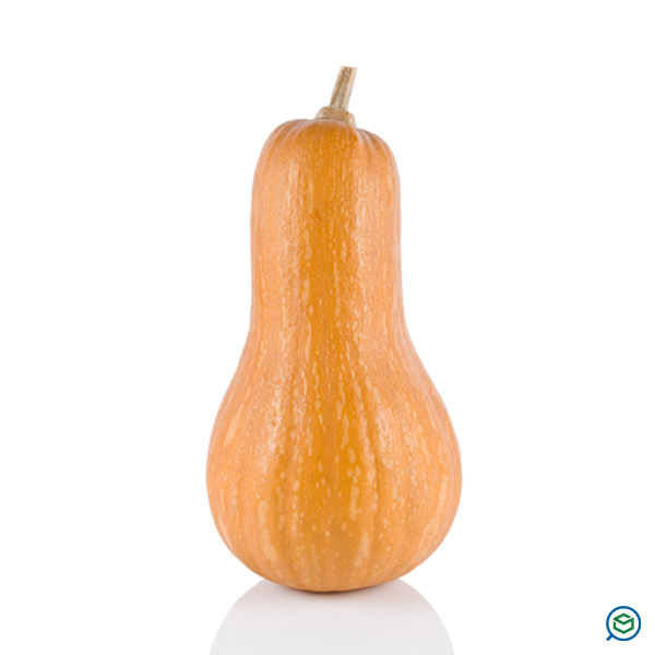 Κολοκύθες Mini - Παραγγελία σε Kg Κολοκύθες Mini - Παραγγελία σε Kg